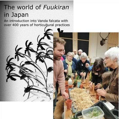 Wonderful community! Thank you :-)