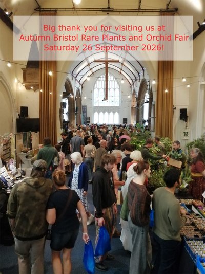 2026 [Autumn] Bristol Rare Plants and Orchid Fair