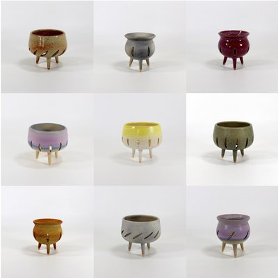 New arrivals in November 2025